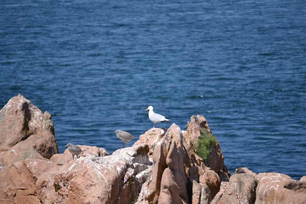 Gite De La Marina Dans La Presqu'Ile De Lézardrieux 외부 사진